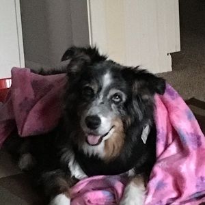 Meet your Posher, Marla